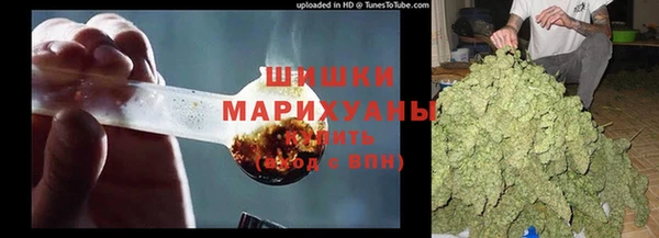 гидра Алексеевка